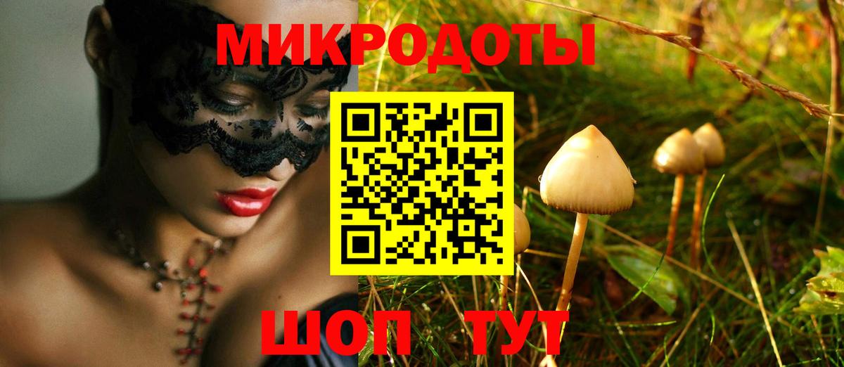 Галлюциногенные грибы GOLDEN TEACHER  Псилоцибиновые грибы мухоморы  Назрань  Вход с VPN 