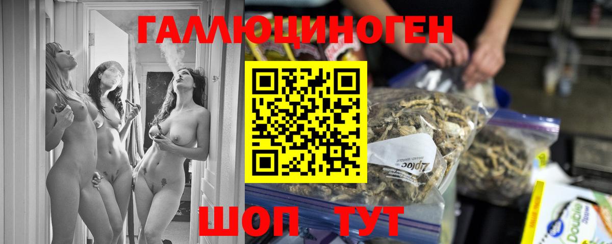 Галлюциногенные грибы Psilocybine cubensis Назрань